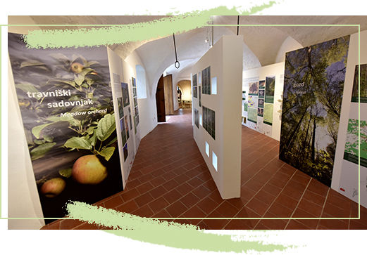 Il castello di Podsreda - galleria