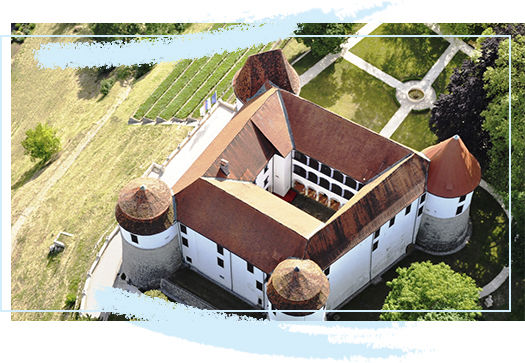 Il castello di Sevnica - dall'alto 