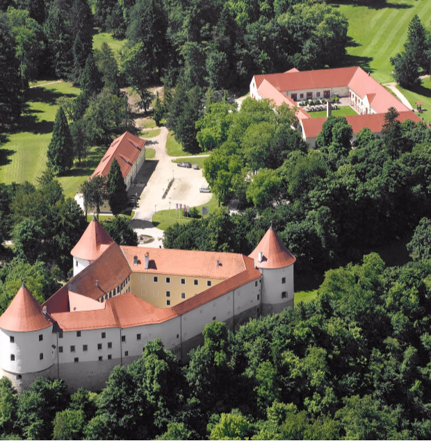 Grad Mokrice - pogled od zgoraj